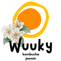 Wuuky kombucha jasmín