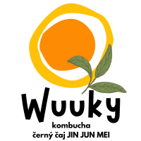 Wuuky kombucha černý čaj