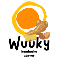 Wuuky kombucha zázvor